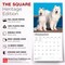 BrownTrout; Samoyeds | 2027 12 x 24 Inch (Hanging) Monthly Square Wall Calendar | Plastic-Free; Category:Wall Calendars; Image:7